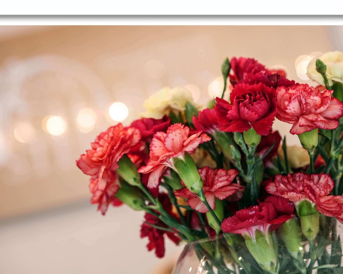 Red carnations in remembrance